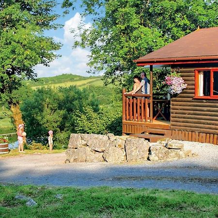Hotel Garnffrwd Park Llanddarog Exterior foto