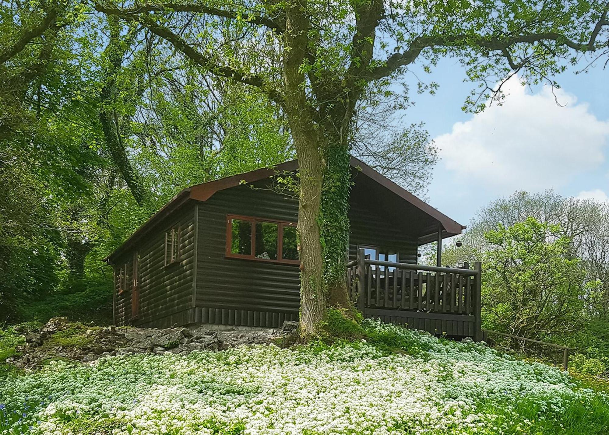 Hotel Garnffrwd Park Llanddarog Habitación foto